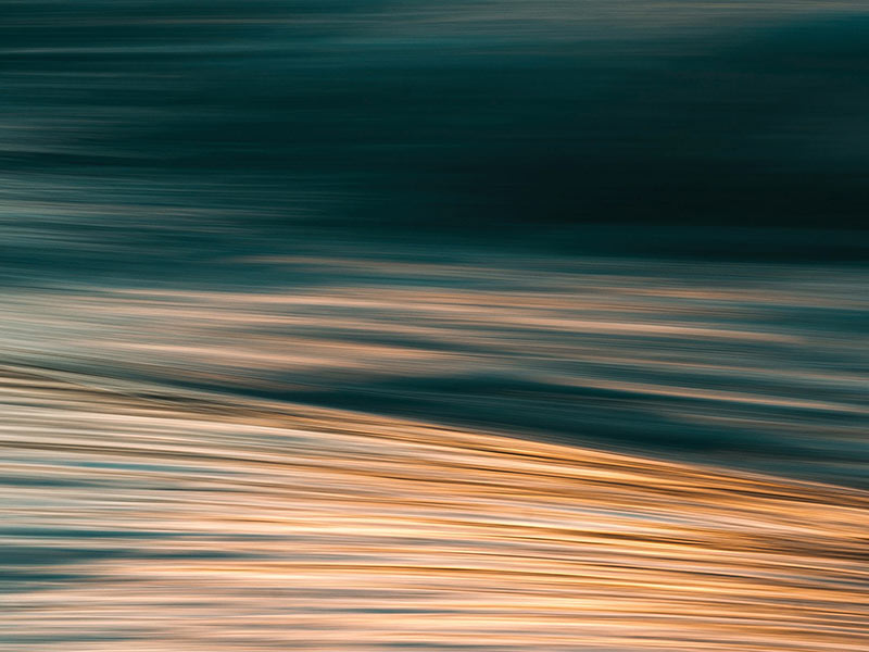 Introducing The Fast Forward: BSR’s Emerging Issues Update thumnail image