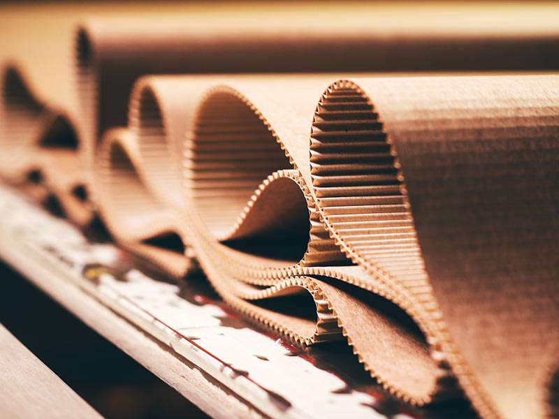 Co-Creating a Timber Coalition thumbnail image