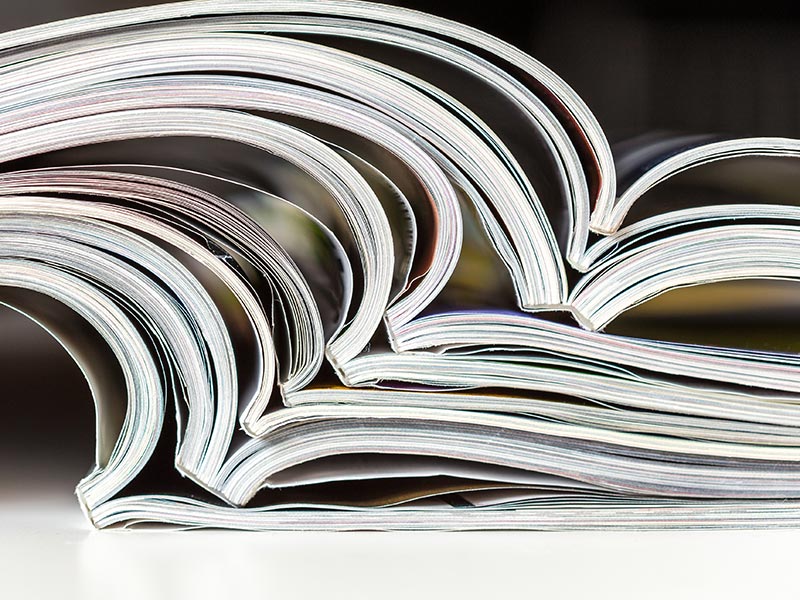 Balancing Voluntary and Mandatory Reporting Factsheet thumbnail image