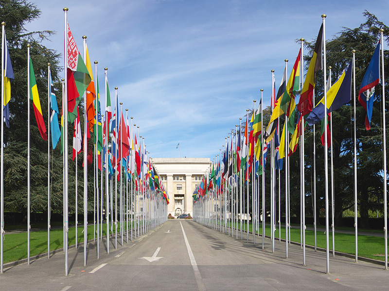 BSR at the United Nations Forum on Business and Human Rights thumbnail image