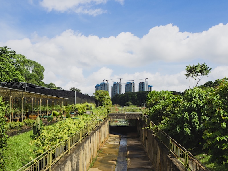 From Risk to Resilience: Getting Started on Climate Adaptation thumbnail image