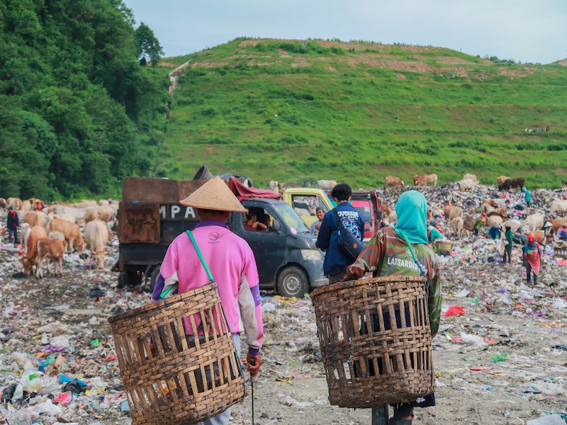 Understanding the Waste Picker Living Income Gap to Strengthen Circular Value Chains (Asia) thumbnail image