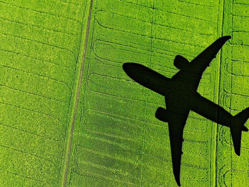 Sustainable Aviation Fuel Primer thumbnail image