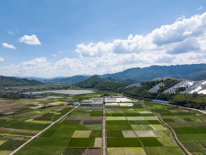 Procuring Nature-Based Carbon Removals with Integrity: Managing Risk and Building Long-Term Value thumbnail image