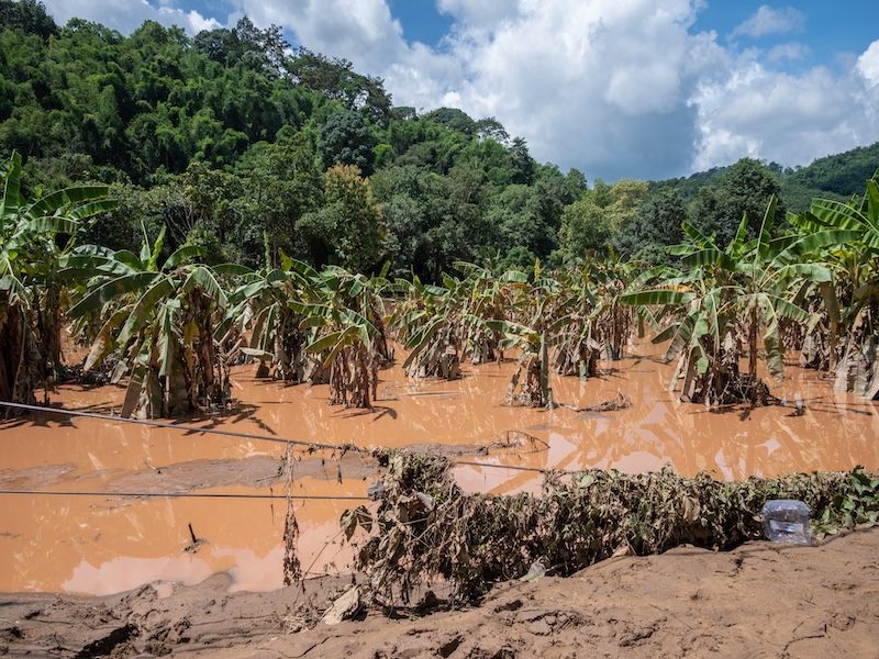 Assessing Climate Risk through Scenario Analysis thumbnail image