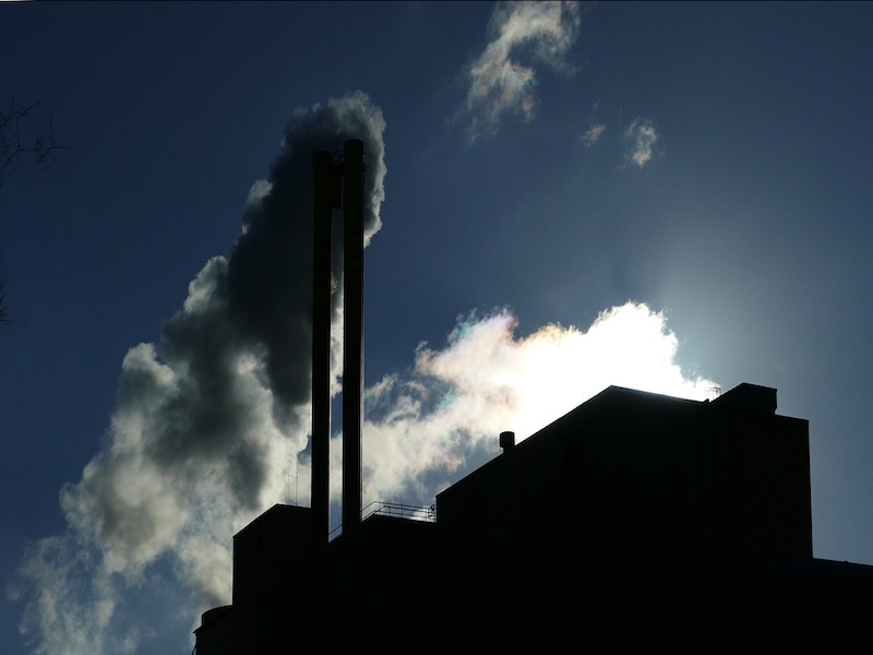 Navigating US Climate Policy Shifts: Business Perspectives on the Endangerment Finding thumbnail image