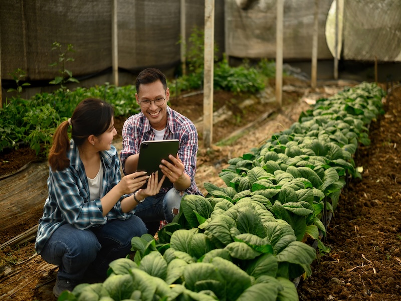 Engaging SME Suppliers on Climate Action: Practical Tools and Strategies (Asia/Europe) thumbnail image