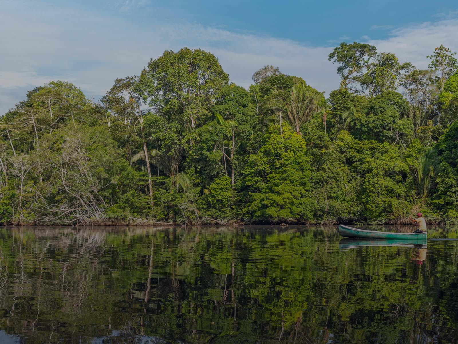 Indigenous Peoples and Climate Change: A Call For Action to Build Resilience Post-COVID thumnail image