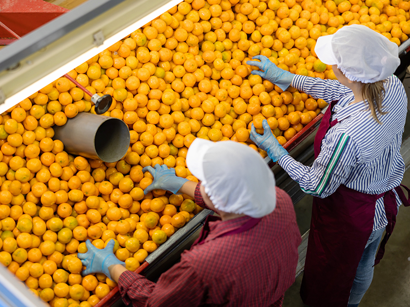 Living Wage thumnail image