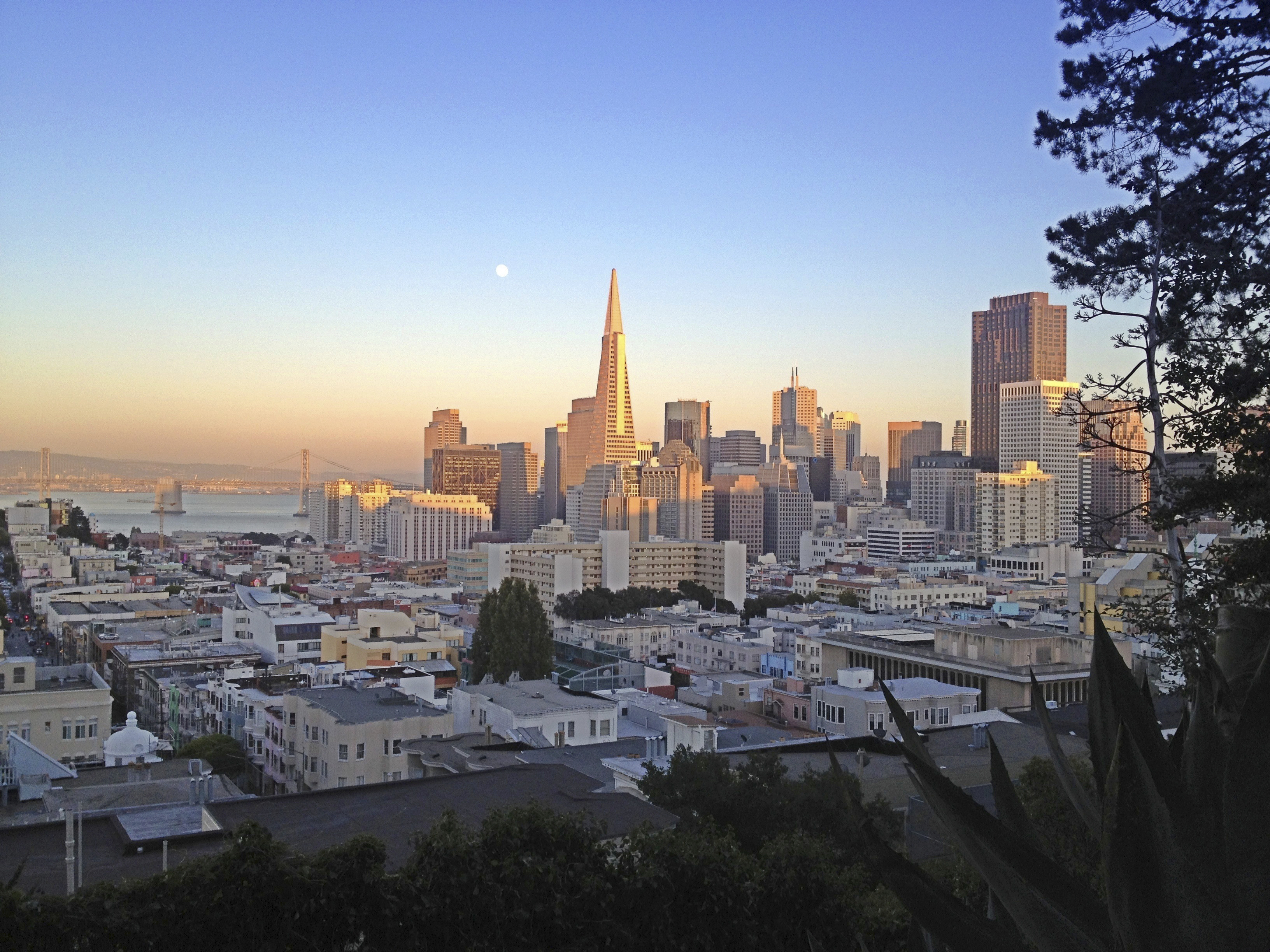 Post-Election Discussion and Drinks in San Francisco thumbnail image
